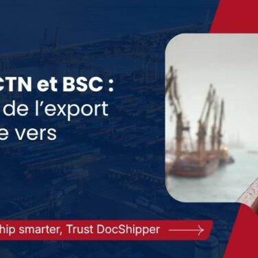 BESC, ECTN et BSC le guide de l’export maritime vers l’Afrique