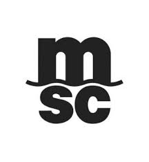 MSC company logo meilleur transitaire
