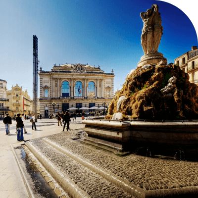 transitaire en montpellier